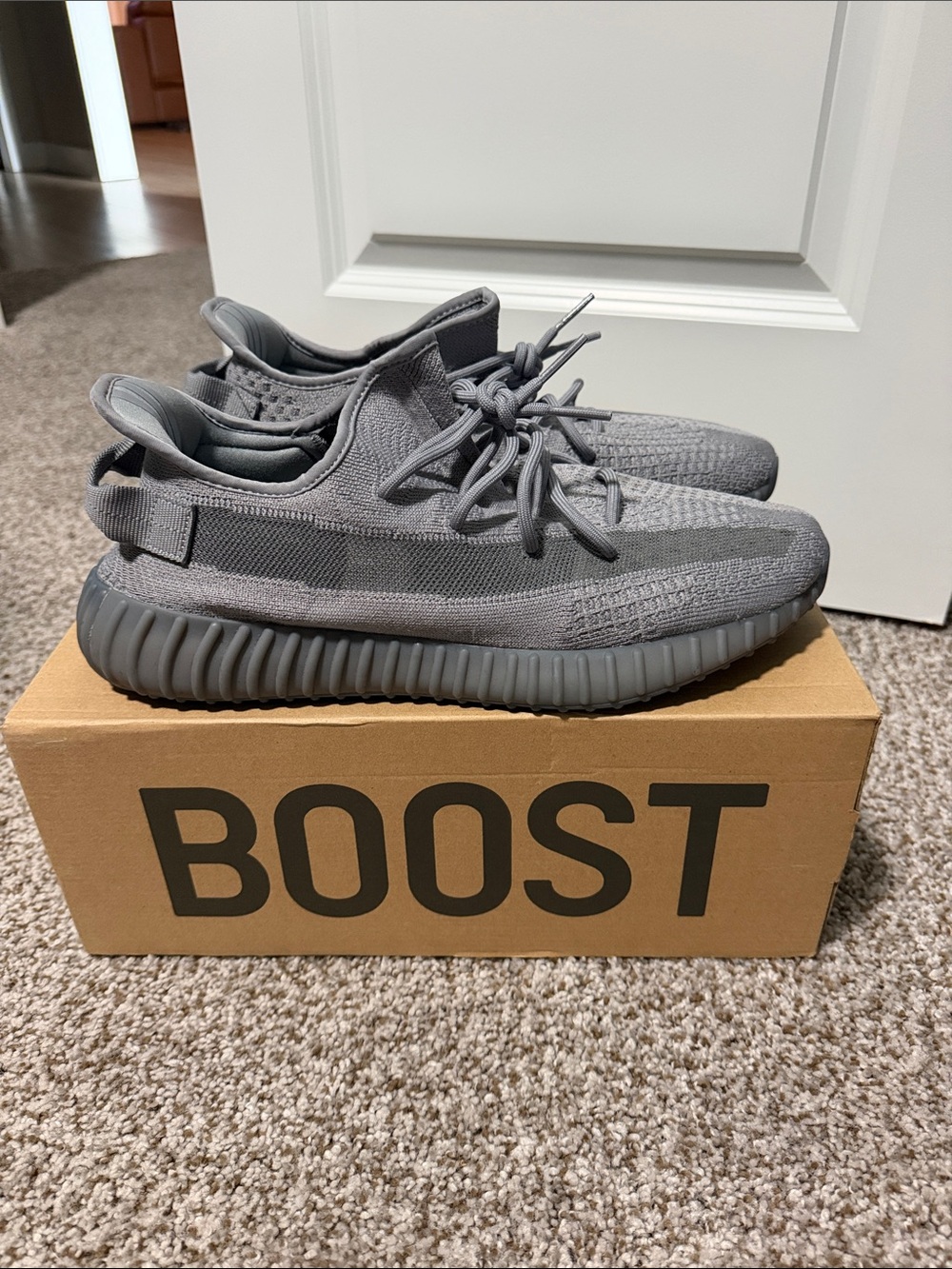 Yeezy Boost 350 V2- Stegry
